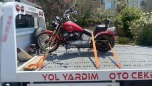 Temur Oto Çekici